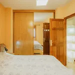 Vut Plaza De La Fruta *